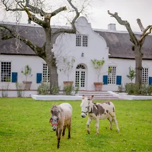Apartment San Gabriel Homestead, Somerset West